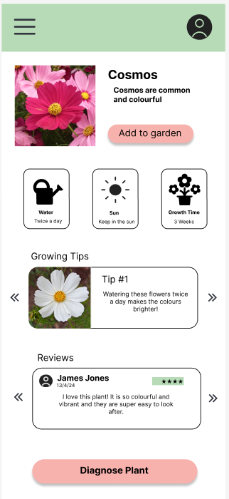My plants screen